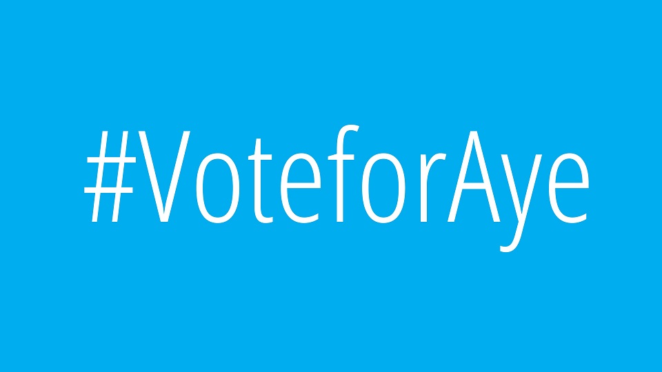 vote for aye - startup article